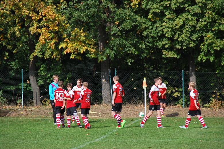 780x5205.ST Grimme-BSG 4.10 (90).JPG